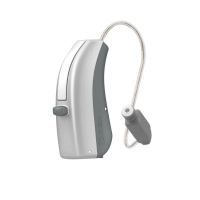WIDEX EVOKE 30-FS_P